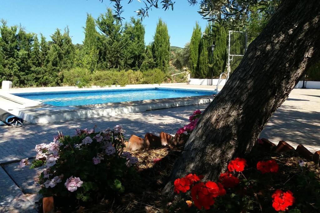 Cortijo "Era Grande 2" Villa Cordoba Ngoại thất bức ảnh