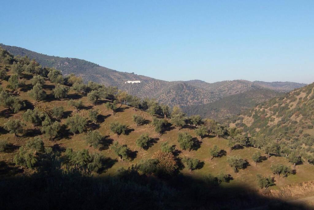 Cortijo "Era Grande 2" Villa Cordoba Ngoại thất bức ảnh