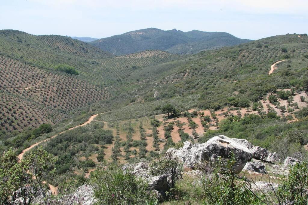 Cortijo "Era Grande 2" Villa Cordoba Ngoại thất bức ảnh