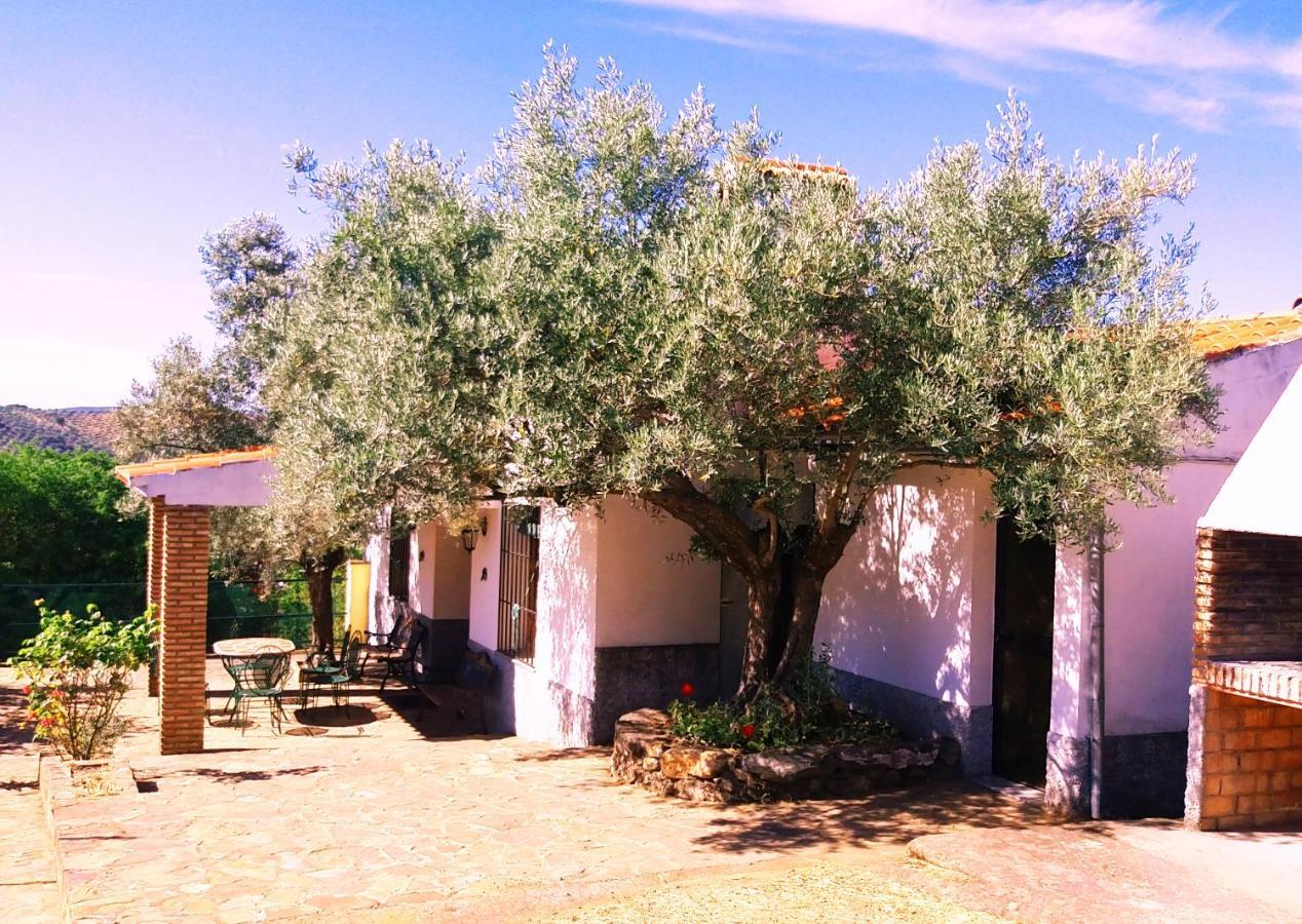 Cortijo "Era Grande 2" Villa Cordoba Ngoại thất bức ảnh