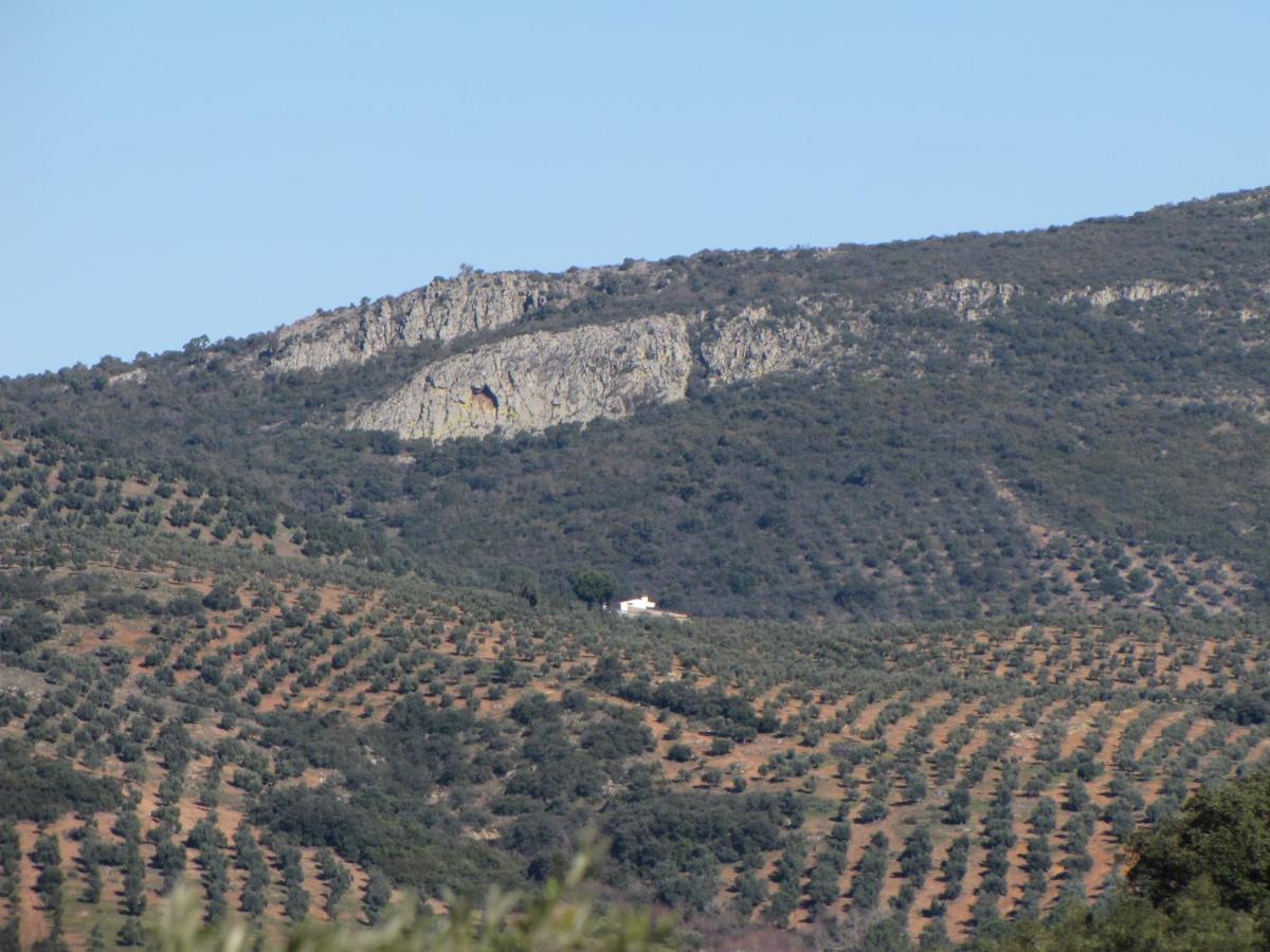 Cortijo "Era Grande 2" Villa Cordoba Ngoại thất bức ảnh
