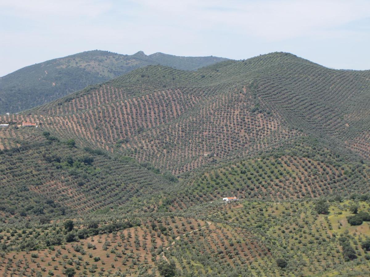 Cortijo "Era Grande 2" Villa Cordoba Ngoại thất bức ảnh