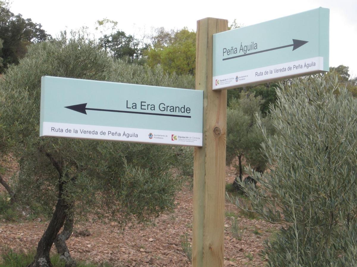 Cortijo "Era Grande 2" Villa Cordoba Ngoại thất bức ảnh